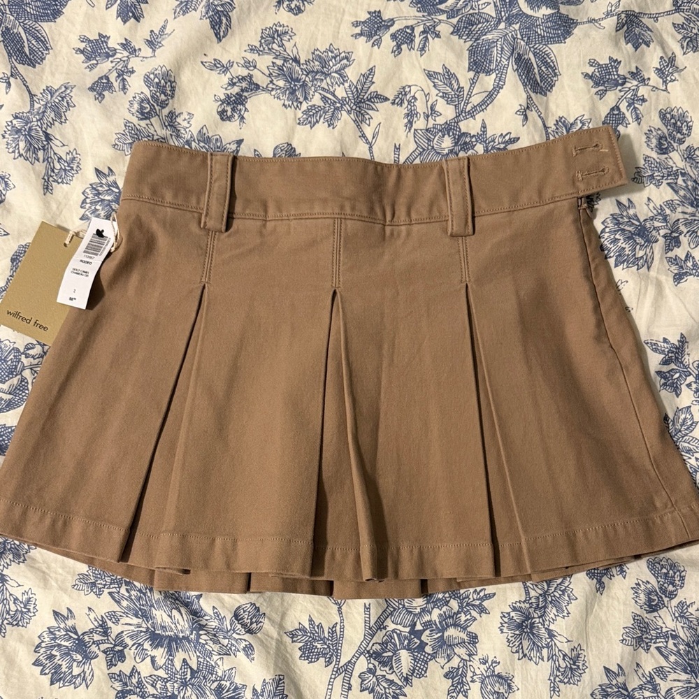 Aritzia Rodeo Pleated Mini Skirt
